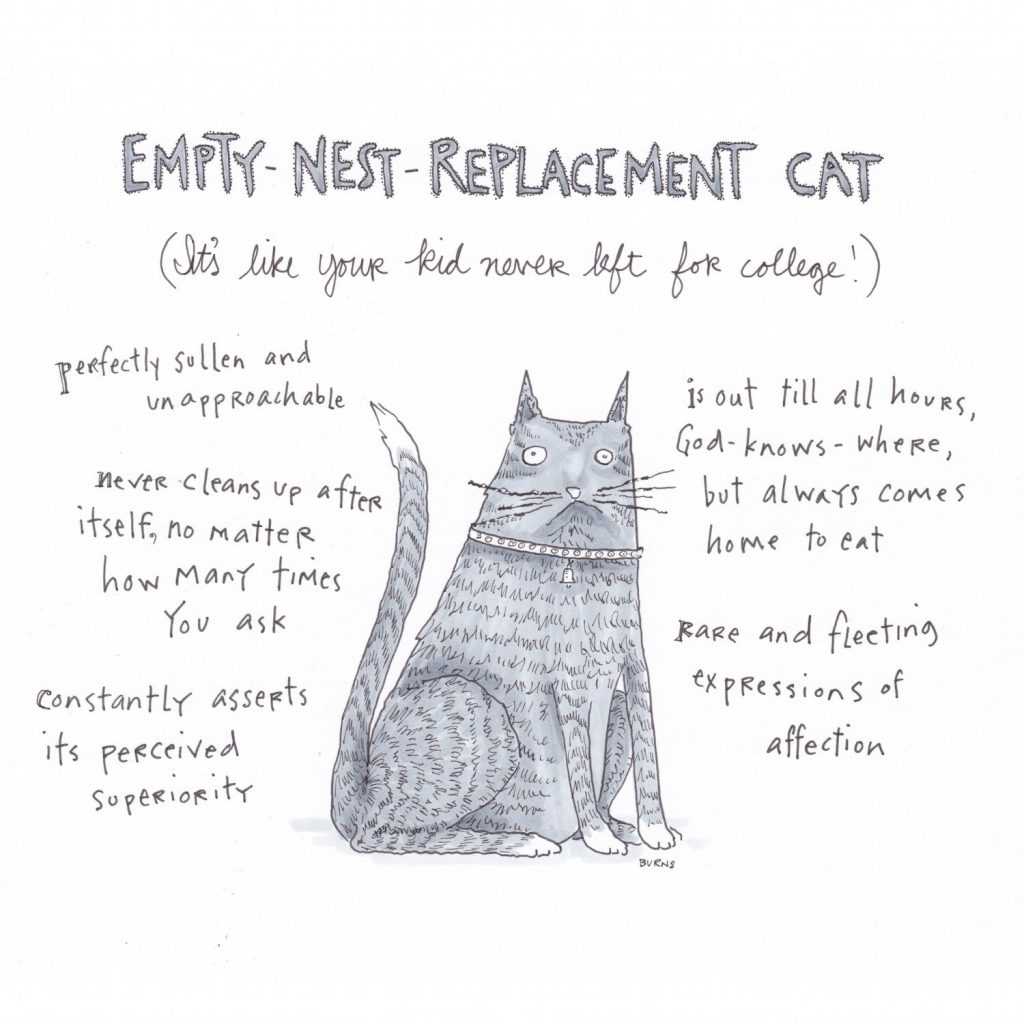 gato-the-new-yorker