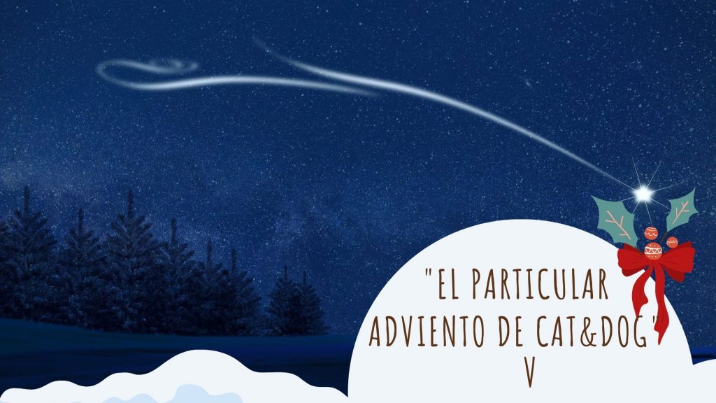 En el portal