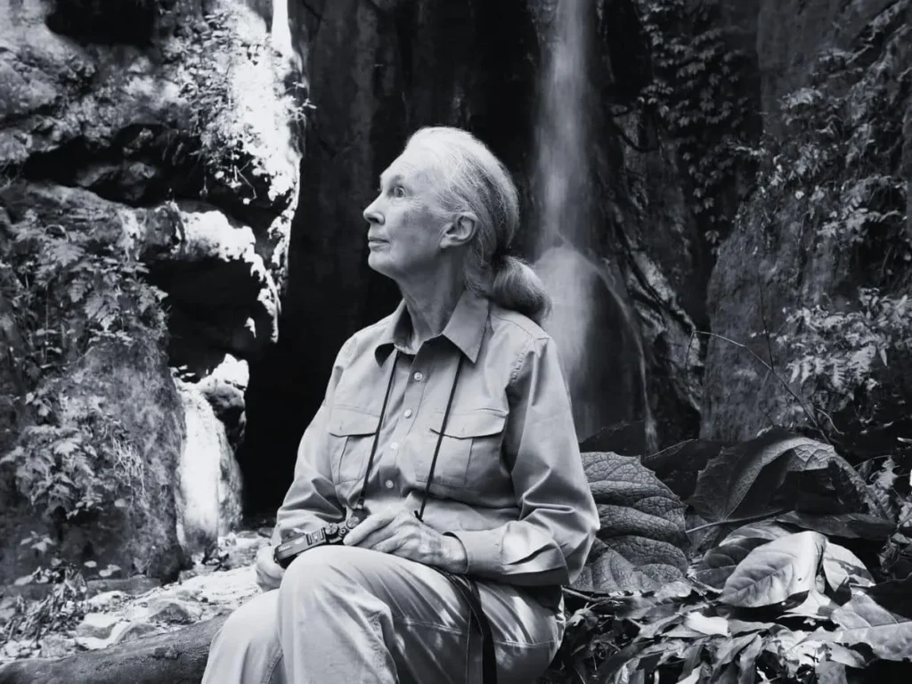 Retrato en blanco y negro de Jane Goodall sentada frente a una cascada, observando hacia lo alto con una expresión reflexiva.