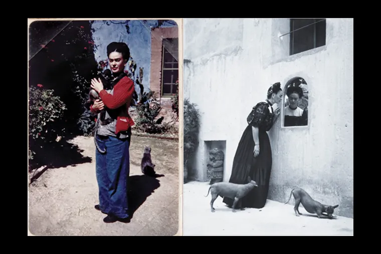 Dos fotografías de una mujer: en la primera, de pie en un jardín abrazando un gato; en la segunda, vestida de largo, inclinándose hacia una ventana mientras dos perros pequeños caminan cerca.