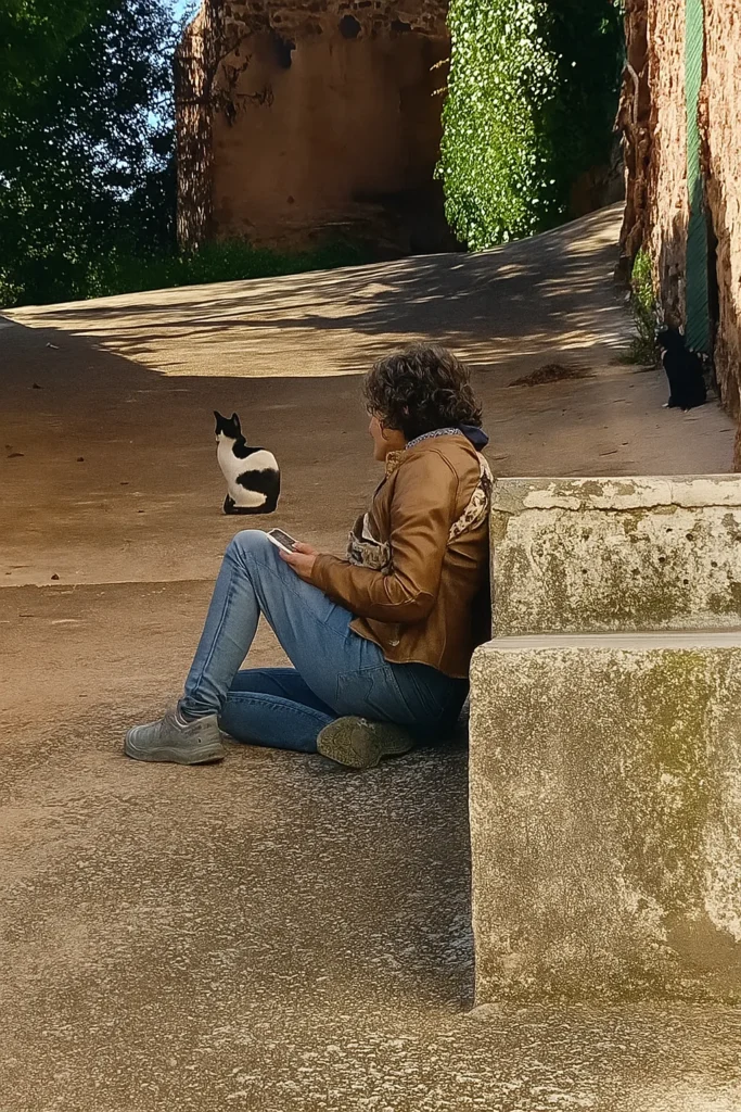 Persona sentada en una calle rural empinada, rodeada de varios gatos mientras observa la escena en un entorno de casas antiguas de piedra y árboles.