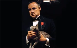 Marlon Brando en la película "el Padrino" vestido con esmoquin negro y una rosa roja en la solapa, sosteniendo un gato gris en sus manos mientras mira con expresión seria.