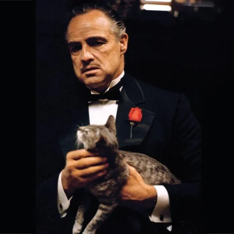 Marlon Brando en la película "el Padrino" vestido con esmoquin negro y una rosa roja en la solapa, sosteniendo un gato gris en sus manos mientras mira con expresión seria.