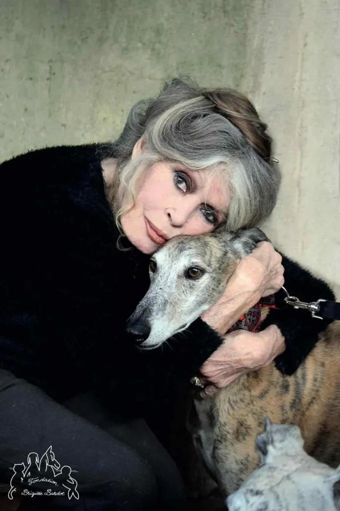 Retrato de Brigitte Bardot abrazando a un galgo, con expresión serena y mirada melancólica, en una imagen asociada a su faceta de defensora de los animales.