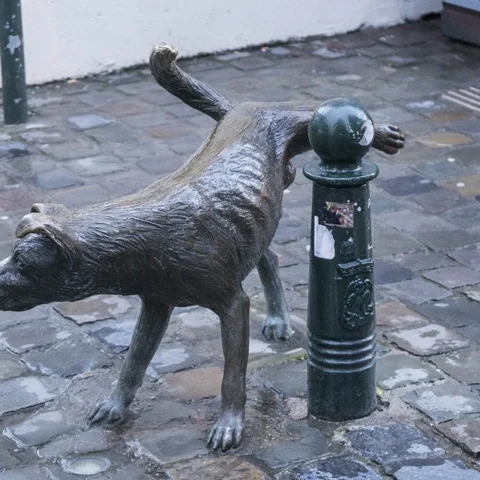 Escultura de bronce de un perro levantando la pata para orinar junto a un bolardo en una calle empedrada de Bruselas.