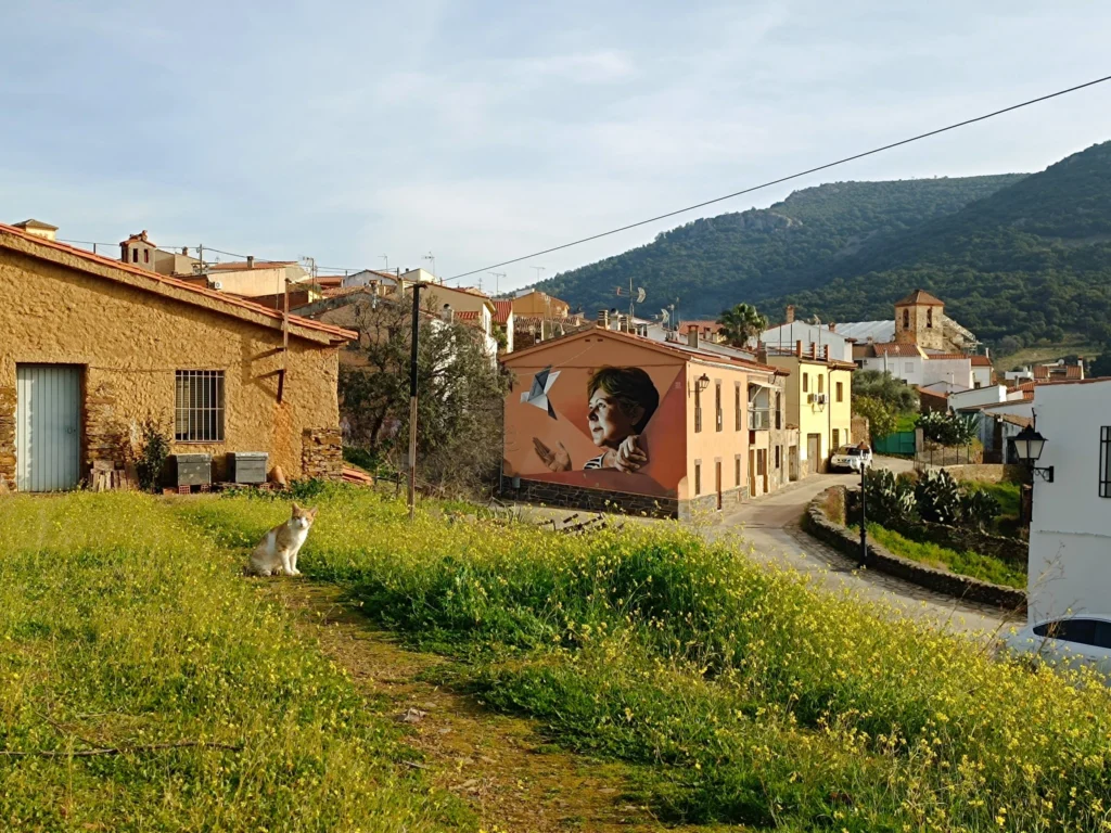 Paisaje de pueblo con casas y montaña al fondo, donde un gato está sentado sobre la hierba en primer plano.