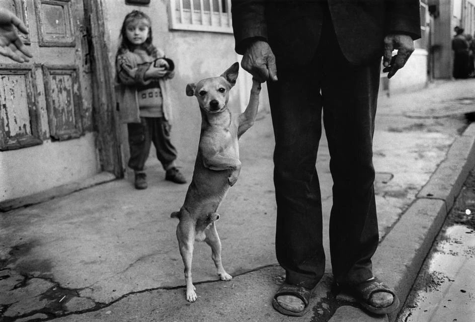 Foto documental en blanco y negro de un perro pequeño apoyando su pata en la mano de un hombre.
