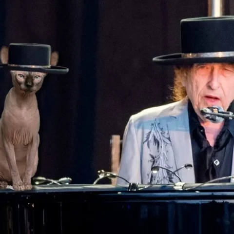 Escena de Bob Dylantocando el piano con sombrero negro mientras canta al micrófono; a su lado, un gato esfinge también lleva un sombrero similar sobre el piano.