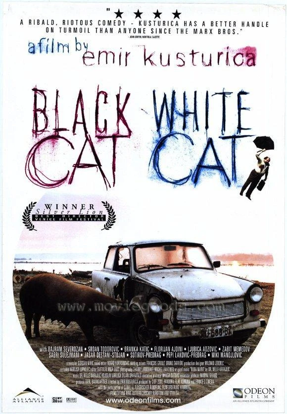 Cartel de la película “Black Cat, White Cat” de Emir Kusturica con un coche antiguo y un cerdo junto a él, sobre un fondo claro con tipografía artística.