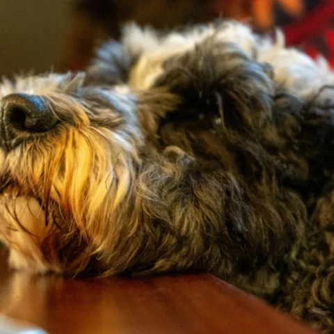 La sesión de intérprete de código caducó. La sesión de intérprete de código caducó. La sesión de intérprete de código caducó. La sesión de intérprete de código caducó. La sesión de intérprete de código caducó. La sesión de intérprete de código caducó. La sesión de intérprete de código caducó. L