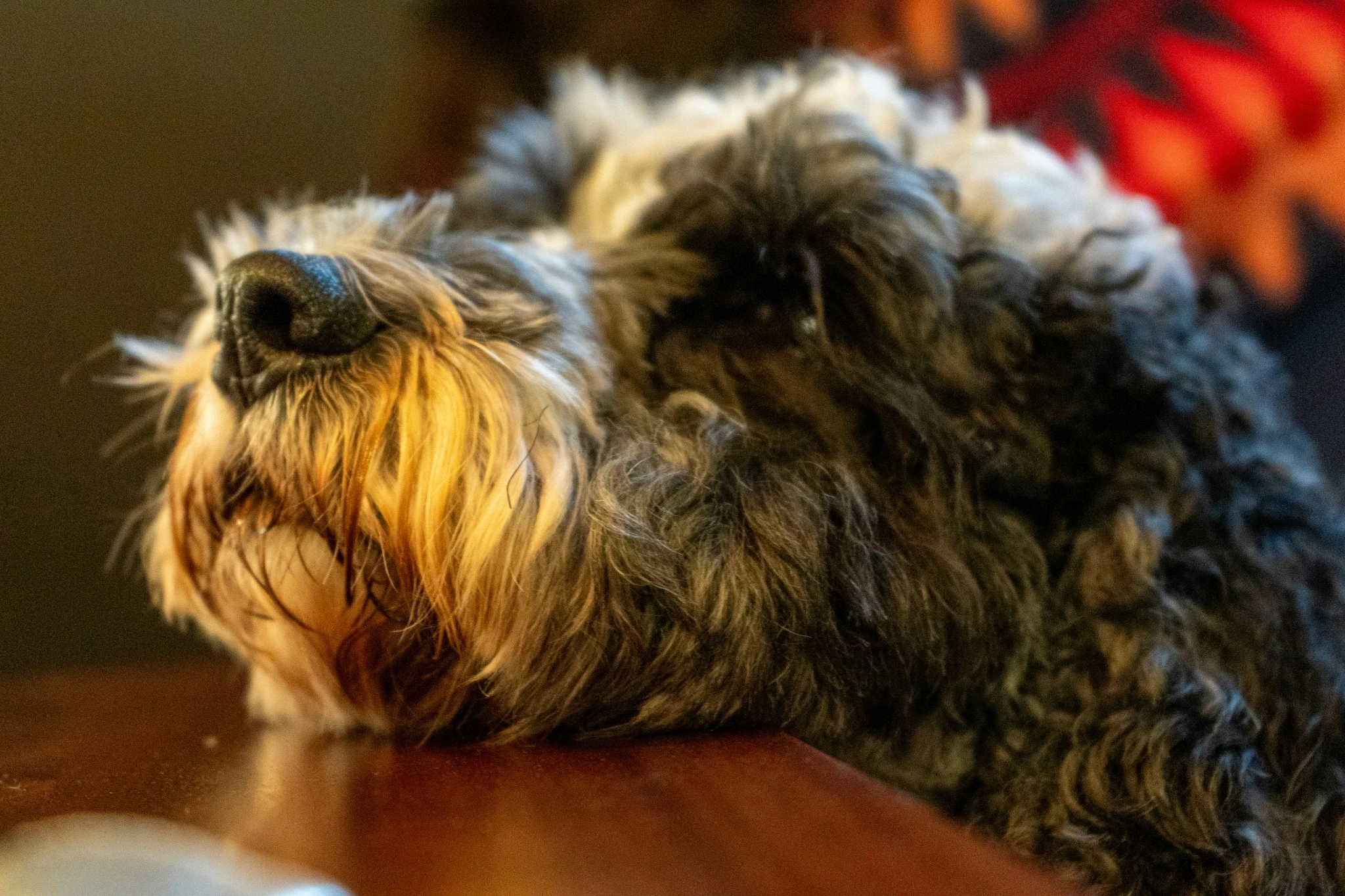 La sesión de intérprete de código caducó. La sesión de intérprete de código caducó. La sesión de intérprete de código caducó. La sesión de intérprete de código caducó. La sesión de intérprete de código caducó. La sesión de intérprete de código caducó. La sesión de intérprete de código caducó. L