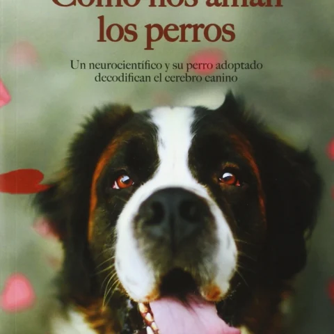 Portada del libro Cómo nos aman los perros de Gregory Berns, con la fotografía de un perro San Bernardo en primer plano y el subtítulo sobre el estudio científico del cerebro canino.