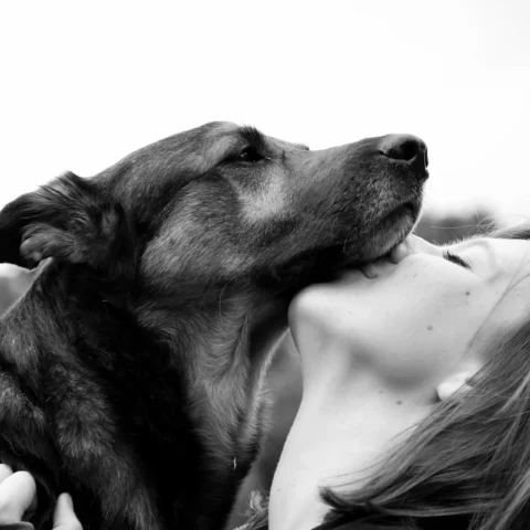 Mujer abrazando a un perro de tamaño mediano mientras el animal le lame la barbilla en una fotografía en blanco y negro.