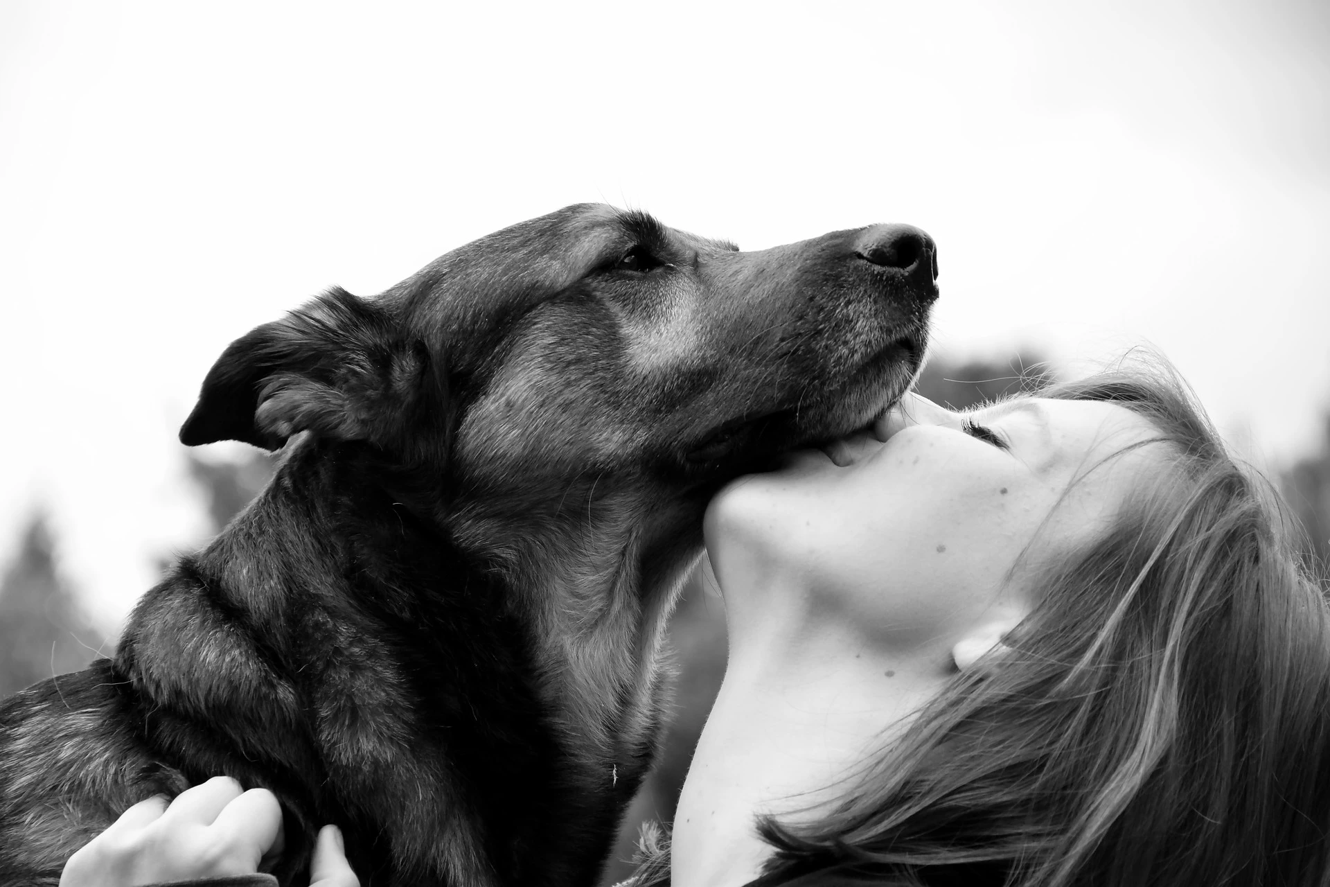 Mujer abrazando a un perro de tamaño mediano mientras el animal le lame la barbilla en una fotografía en blanco y negro.